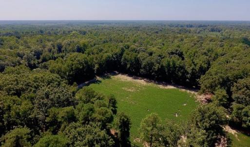Photo of SOLD!  210 Acres of Farm and Timber Land For Sale in Johnston County NC!