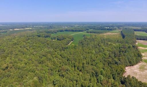 Photo of SOLD!  210 Acres of Farm and Timber Land For Sale in Johnston County NC!