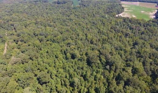 Photo of SOLD!  210 Acres of Farm and Timber Land For Sale in Johnston County NC!