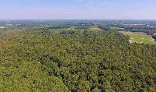 Photo of SOLD!  210 Acres of Farm and Timber Land For Sale in Johnston County NC!
