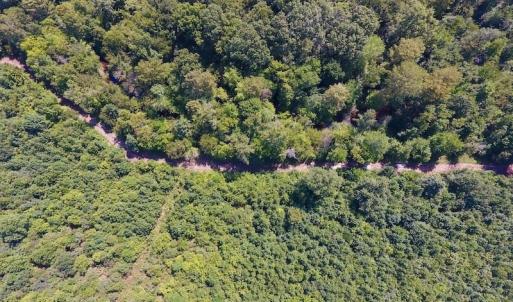 Photo of SOLD!  210 Acres of Farm and Timber Land For Sale in Johnston County NC!