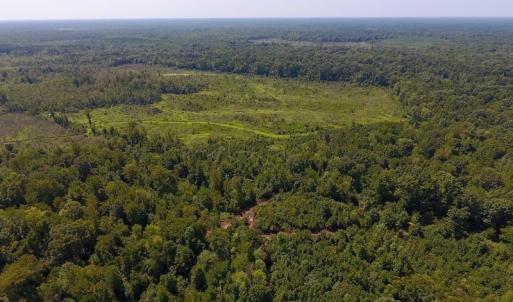 Photo of SOLD!  210 Acres of Farm and Timber Land For Sale in Johnston County NC!