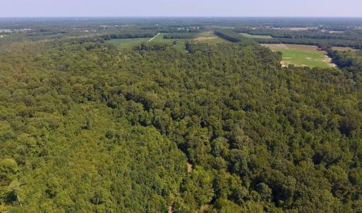 Photo of SOLD!  210 Acres of Farm and Timber Land For Sale in Johnston County NC!