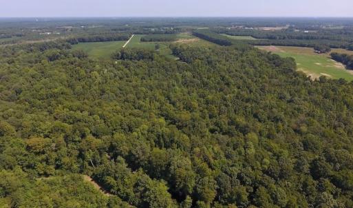 Photo of SOLD!  210 Acres of Farm and Timber Land For Sale in Johnston County NC!