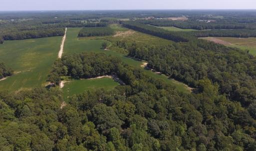 Photo of SOLD!  210 Acres of Farm and Timber Land For Sale in Johnston County NC!