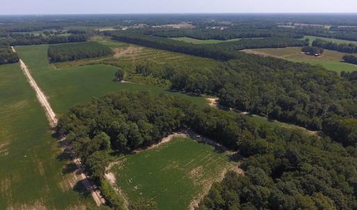 Photo of SOLD!  210 Acres of Farm and Timber Land For Sale in Johnston County NC!