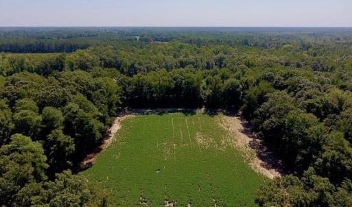 Photo of SOLD!  210 Acres of Farm and Timber Land For Sale in Johnston County NC!