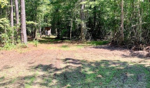 Photo of SOLD!  210 Acres of Farm and Timber Land For Sale in Johnston County NC!