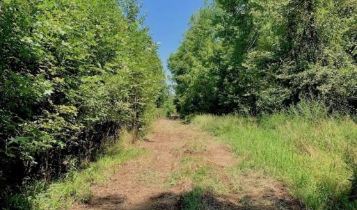 Photo of SOLD!  210 Acres of Farm and Timber Land For Sale in Johnston County NC!