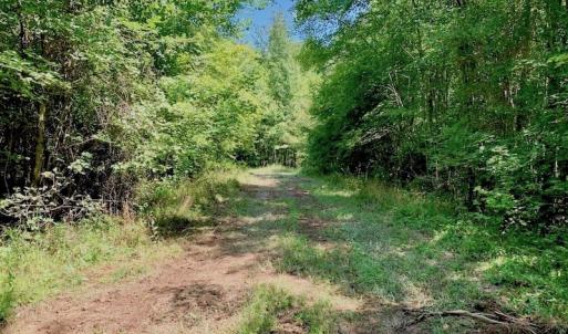 Photo of SOLD!  210 Acres of Farm and Timber Land For Sale in Johnston County NC!