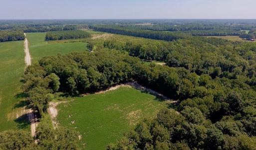 Photo of SOLD!  210 Acres of Farm and Timber Land For Sale in Johnston County NC!