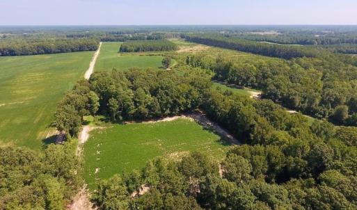 Photo of SOLD!  210 Acres of Farm and Timber Land For Sale in Johnston County NC!