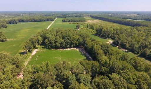 Photo of SOLD!  210 Acres of Farm and Timber Land For Sale in Johnston County NC!