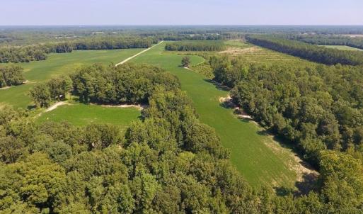 Photo of SOLD!  210 Acres of Farm and Timber Land For Sale in Johnston County NC!