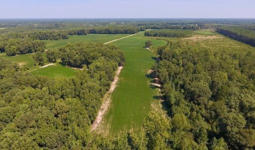 Photo of SOLD!  210 Acres of Farm and Timber Land For Sale in Johnston County NC!