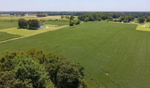 Photo of SOLD!  11.44 Acres of Farm and Investment Land For Sale in Johnston County NC!
