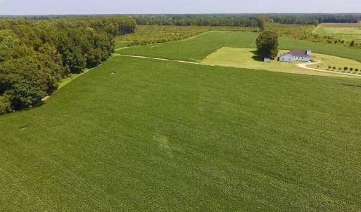 Photo of SOLD!  11.44 Acres of Farm and Investment Land For Sale in Johnston County NC!