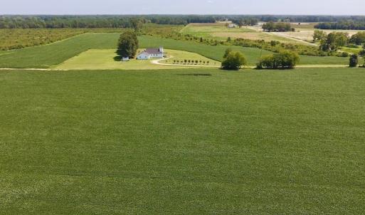 Photo of SOLD!  11.44 Acres of Farm and Investment Land For Sale in Johnston County NC!