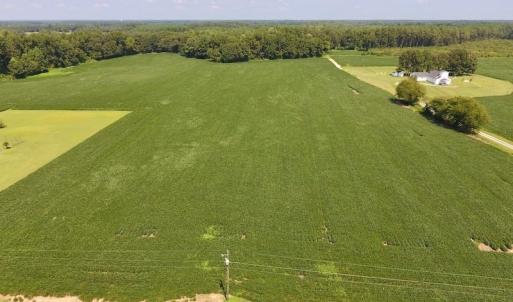 Photo of SOLD!  11.44 Acres of Farm and Investment Land For Sale in Johnston County NC!