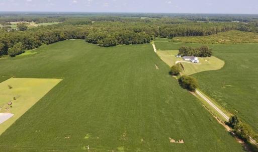 Photo of SOLD!  11.44 Acres of Farm and Investment Land For Sale in Johnston County NC!