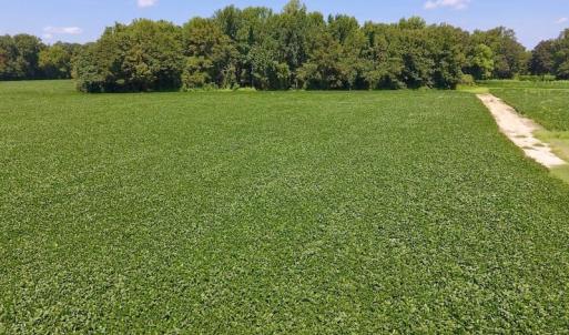 Photo of SOLD!  11.44 Acres of Farm and Investment Land For Sale in Johnston County NC!