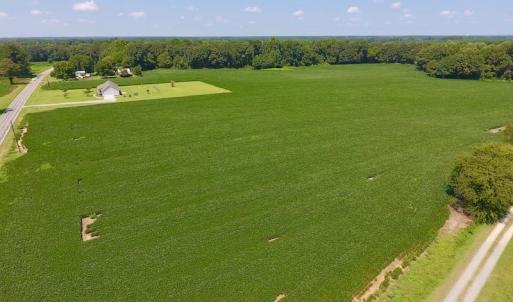 Photo of SOLD!  11.44 Acres of Farm and Investment Land For Sale in Johnston County NC!