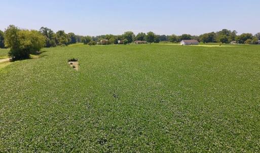 Photo of SOLD!  11.44 Acres of Farm and Investment Land For Sale in Johnston County NC!