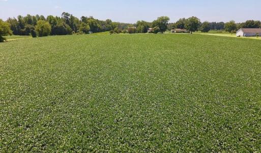 Photo of SOLD!  11.44 Acres of Farm and Investment Land For Sale in Johnston County NC!