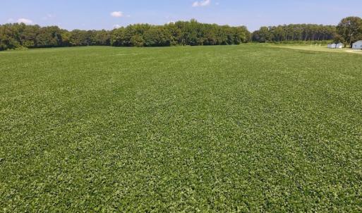 Photo of SOLD!  11.44 Acres of Farm and Investment Land For Sale in Johnston County NC!
