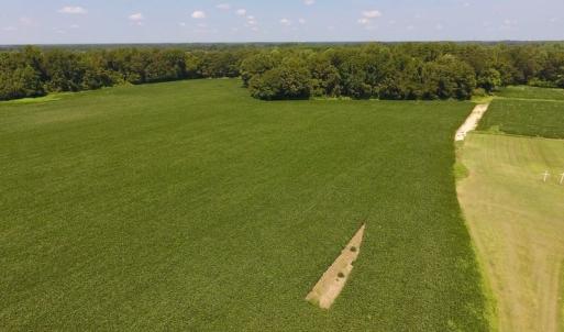 Photo of SOLD!  11.44 Acres of Farm and Investment Land For Sale in Johnston County NC!
