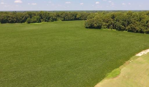 Photo of SOLD!  11.44 Acres of Farm and Investment Land For Sale in Johnston County NC!