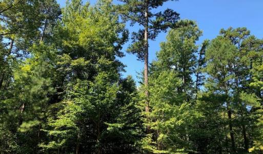 Photo of SOLD!  1.82 acres of Recreational Land For Sale in Mecklenburg County VA!