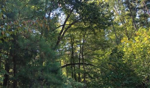 Photo of SOLD!  1.82 acres of Recreational Land For Sale in Mecklenburg County VA!