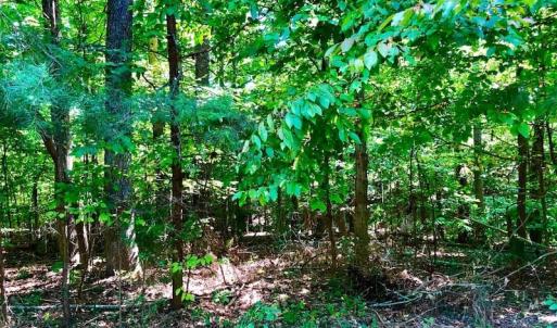 Photo of SOLD!  1.82 acres of Recreational Land For Sale in Mecklenburg County VA!