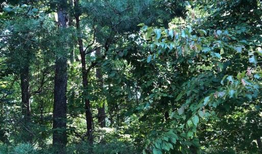 Photo of SOLD!  1.82 acres of Recreational Land For Sale in Mecklenburg County VA!