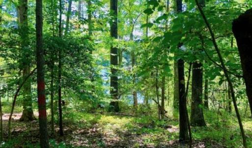 Photo of SOLD!  1.82 acres of Recreational Land For Sale in Mecklenburg County VA!