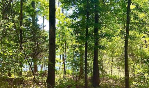 Photo of SOLD!  1.82 acres of Recreational Land For Sale in Mecklenburg County VA!
