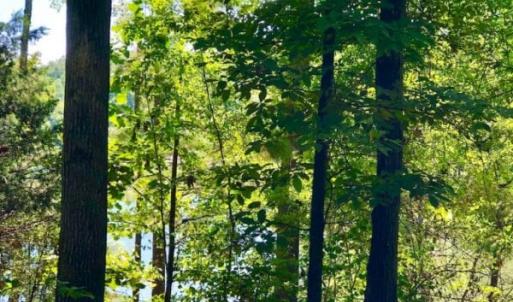 Photo of SOLD!  1.82 acres of Recreational Land For Sale in Mecklenburg County VA!