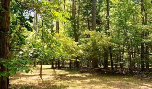 Photo of SOLD!  1.82 acres of Recreational Land For Sale in Mecklenburg County VA!