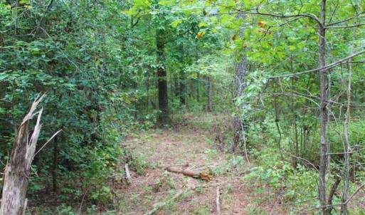 Photo of SOLD!!  6 Acres of Hunting and Residential Land For Sale in Surry County VA!