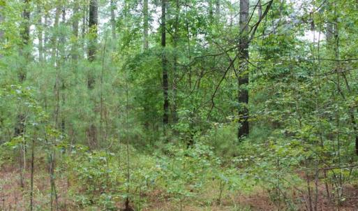Photo of SOLD!!  6 Acres of Hunting and Residential Land For Sale in Surry County VA!