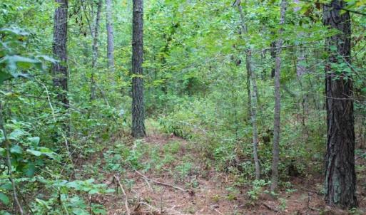 Photo of SOLD!!  6 Acres of Hunting and Residential Land For Sale in Surry County VA!