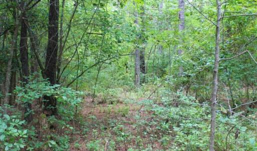 Photo of SOLD!!  6 Acres of Hunting and Residential Land For Sale in Surry County VA!