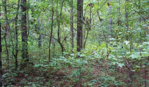 Photo of SOLD!!  6 Acres of Hunting and Residential Land For Sale in Surry County VA!