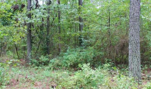 Photo of SOLD!!  6 Acres of Hunting and Residential Land For Sale in Surry County VA!