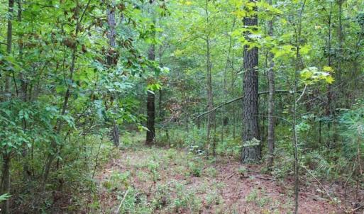 Photo of SOLD!!  6 Acres of Hunting and Residential Land For Sale in Surry County VA!