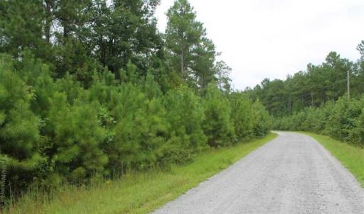Photo of SOLD!!  6 Acres of Hunting and Residential Land For Sale in Surry County VA!
