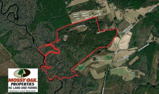 Photo of REDUCED! 265 Acres of Prime Hunting Land For Sale in Sampson County NC!