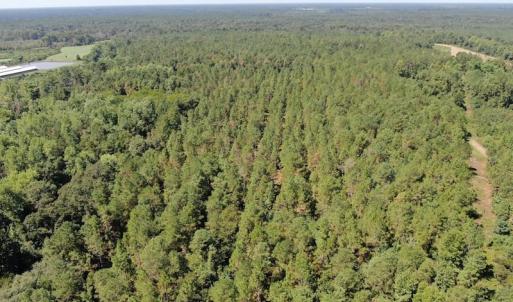 Photo of REDUCED! 265 Acres of Prime Hunting Land For Sale in Sampson County NC!