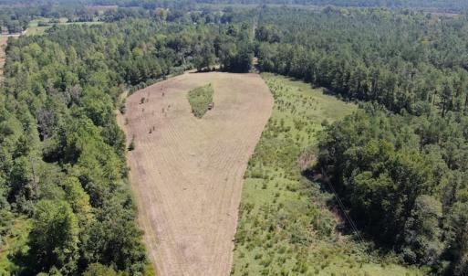 Photo of REDUCED! 265 Acres of Prime Hunting Land For Sale in Sampson County NC!